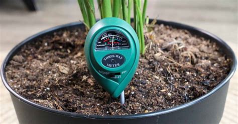 moisture meter for roses|how to measure soil moisture.